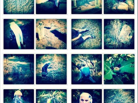 Yaşayan Kadınlar / Gülbin Özdamar Akarçay - Zaman