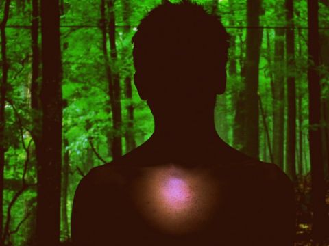 Yaşayan Kadınlar / Melis Batır - Madam 